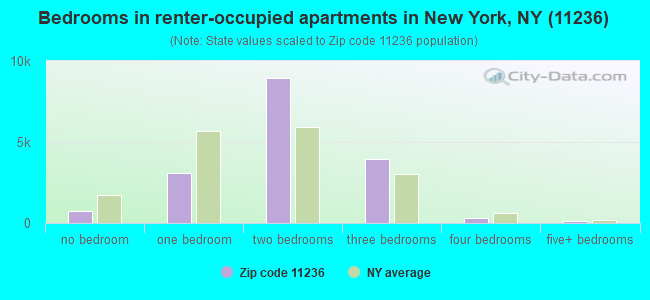 Bedrooms in renter-occupied apartments in New York, NY (11236) 