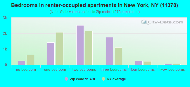 Bedrooms in renter-occupied apartments in New York, NY (11378) 