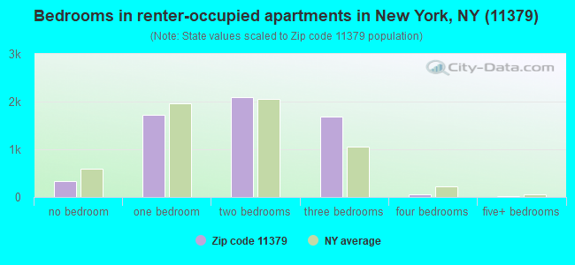 Bedrooms in renter-occupied apartments in New York, NY (11379) 