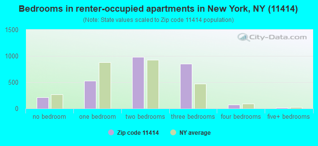 Bedrooms in renter-occupied apartments in New York, NY (11414) 