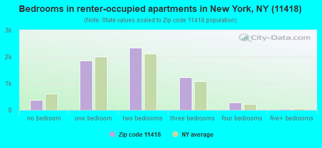 Bedrooms in renter-occupied apartments in New York, NY (11418) 