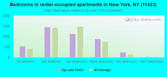 Bedrooms in renter-occupied apartments in New York, NY (11423) 