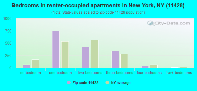 Bedrooms in renter-occupied apartments in New York, NY (11428) 