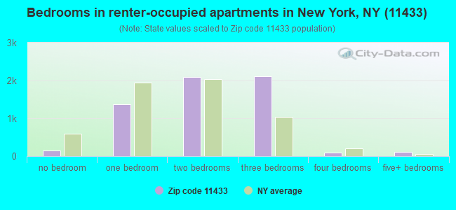 Bedrooms in renter-occupied apartments in New York, NY (11433) 