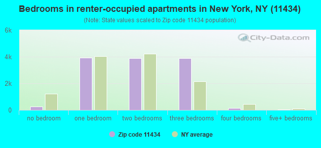 Bedrooms in renter-occupied apartments in New York, NY (11434) 