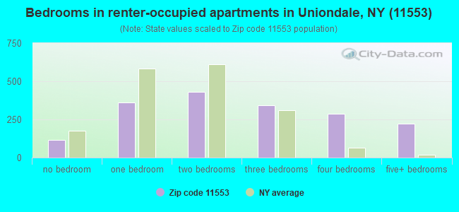 Bedrooms in renter-occupied apartments in Uniondale, NY (11553) 