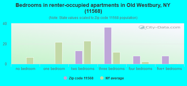 Bedrooms in renter-occupied apartments in Old Westbury, NY (11568) 