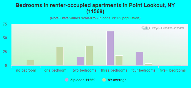 Bedrooms in renter-occupied apartments in Point Lookout, NY (11569) 