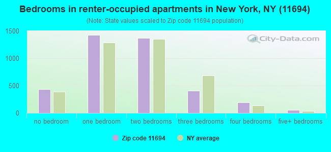 Bedrooms in renter-occupied apartments in New York, NY (11694) 
