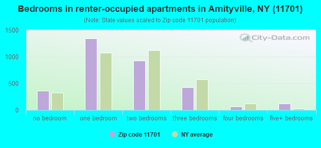 Bedrooms in renter-occupied apartments in Amityville, NY (11701) 