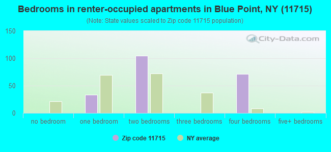 Bedrooms in renter-occupied apartments in Blue Point, NY (11715) 