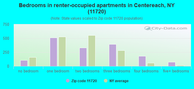 Bedrooms in renter-occupied apartments in Centereach, NY (11720) 