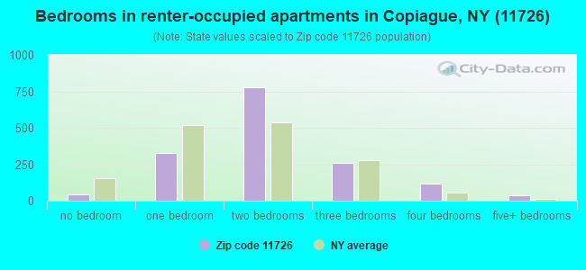 Bedrooms in renter-occupied apartments in Copiague, NY (11726) 