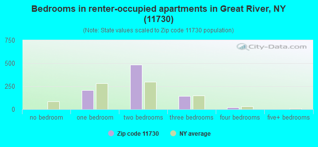 Bedrooms in renter-occupied apartments in Great River, NY (11730) 