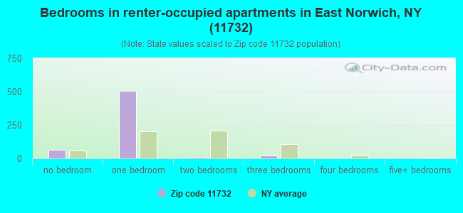 Bedrooms in renter-occupied apartments in East Norwich, NY (11732) 