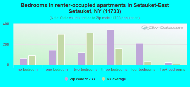 Bedrooms in renter-occupied apartments in Setauket-East Setauket, NY (11733) 