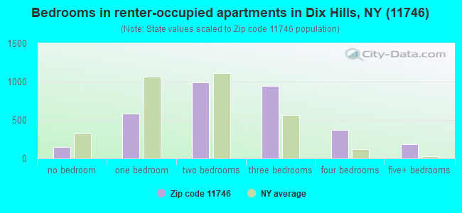 Bedrooms in renter-occupied apartments in Dix Hills, NY (11746) 