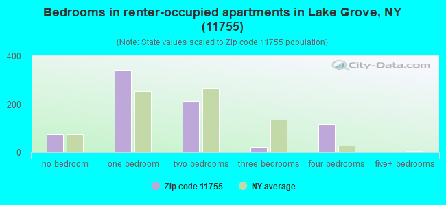 Bedrooms in renter-occupied apartments in Lake Grove, NY (11755) 