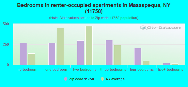 Bedrooms in renter-occupied apartments in Massapequa, NY (11758) 