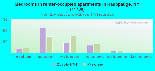 Bedrooms in renter-occupied apartments in Hauppauge, NY (11788) 