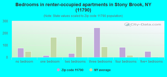 Bedrooms in renter-occupied apartments in Stony Brook, NY (11790) 