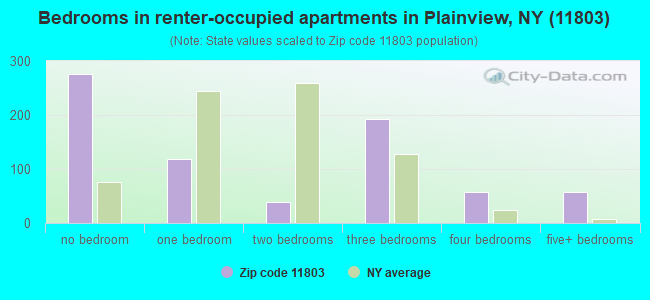 Bedrooms in renter-occupied apartments in Plainview, NY (11803) 