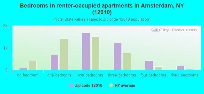 Bedrooms in renter-occupied apartments in Amsterdam, NY (12010) 
