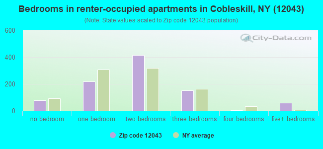 Bedrooms in renter-occupied apartments in Cobleskill, NY (12043) 