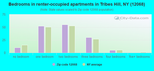 Bedrooms in renter-occupied apartments in Tribes Hill, NY (12068) 