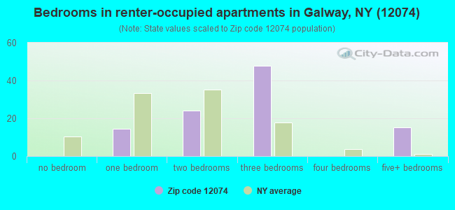 Bedrooms in renter-occupied apartments in Galway, NY (12074) 