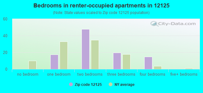 Bedrooms in renter-occupied apartments in 12125 