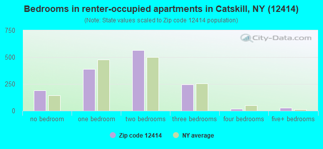 Bedrooms in renter-occupied apartments in Catskill, NY (12414) 