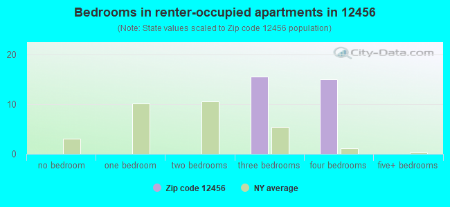 Bedrooms in renter-occupied apartments in 12456 