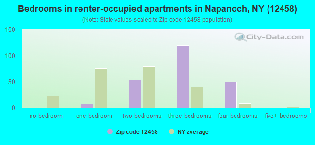 Bedrooms in renter-occupied apartments in Napanoch, NY (12458) 
