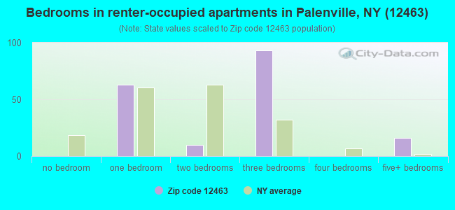 Bedrooms in renter-occupied apartments in Palenville, NY (12463) 