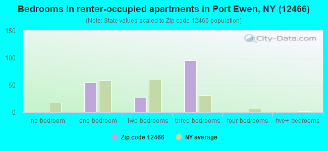 Bedrooms in renter-occupied apartments in Port Ewen, NY (12466) 