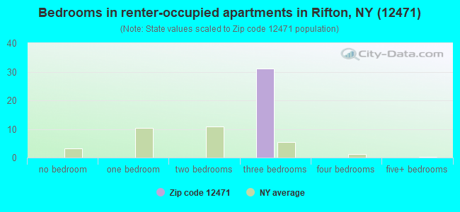 Bedrooms in renter-occupied apartments in Rifton, NY (12471) 