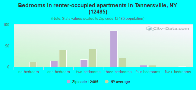 Bedrooms in renter-occupied apartments in Tannersville, NY (12485) 