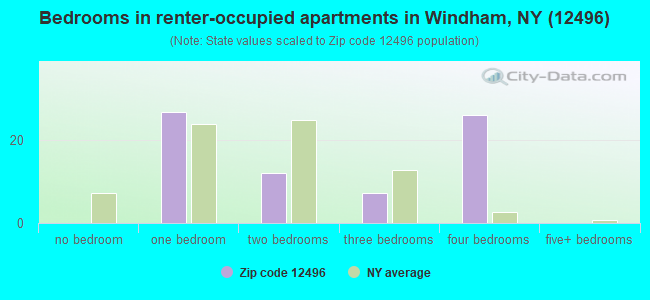 Bedrooms in renter-occupied apartments in Windham, NY (12496) 