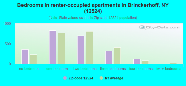 Bedrooms in renter-occupied apartments in Brinckerhoff, NY (12524) 