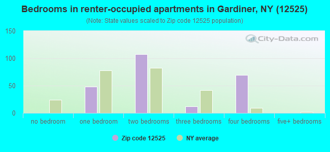 Bedrooms in renter-occupied apartments in Gardiner, NY (12525) 