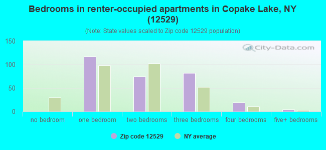 Bedrooms in renter-occupied apartments in Copake Lake, NY (12529) 