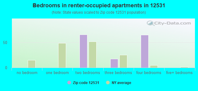 Bedrooms in renter-occupied apartments in 12531 