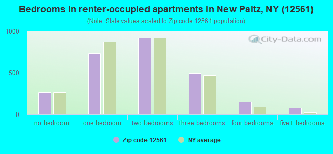 Bedrooms in renter-occupied apartments in New Paltz, NY (12561) 