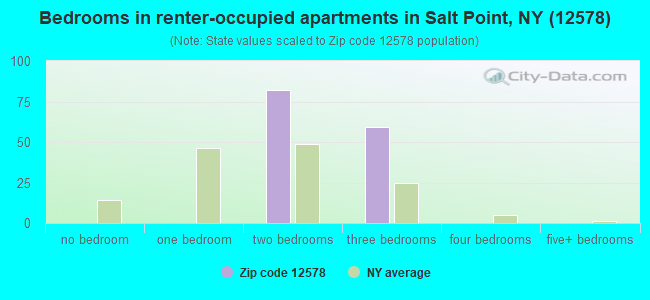 Bedrooms in renter-occupied apartments in Salt Point, NY (12578) 