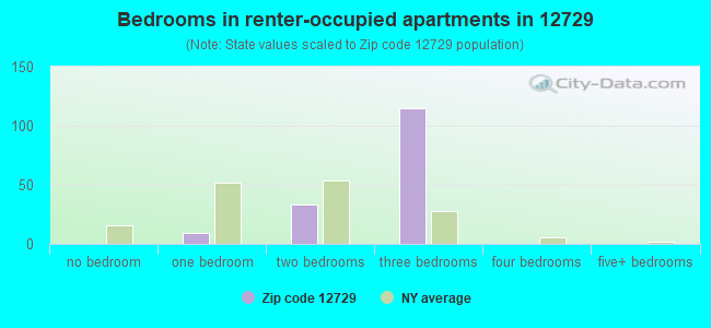 Bedrooms in renter-occupied apartments in 12729 