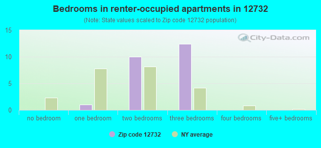 Bedrooms in renter-occupied apartments in 12732 