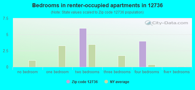 Bedrooms in renter-occupied apartments in 12736 