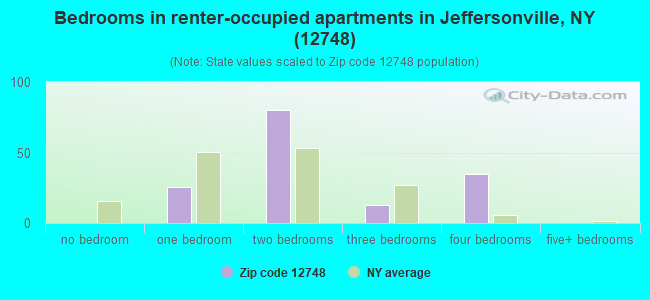Bedrooms in renter-occupied apartments in Jeffersonville, NY (12748) 