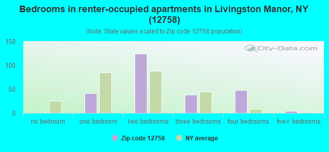 Bedrooms in renter-occupied apartments in Livingston Manor, NY (12758) 